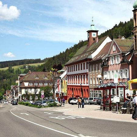 H-Apartment 1 Triberg im Schwarzwald Luaran gambar