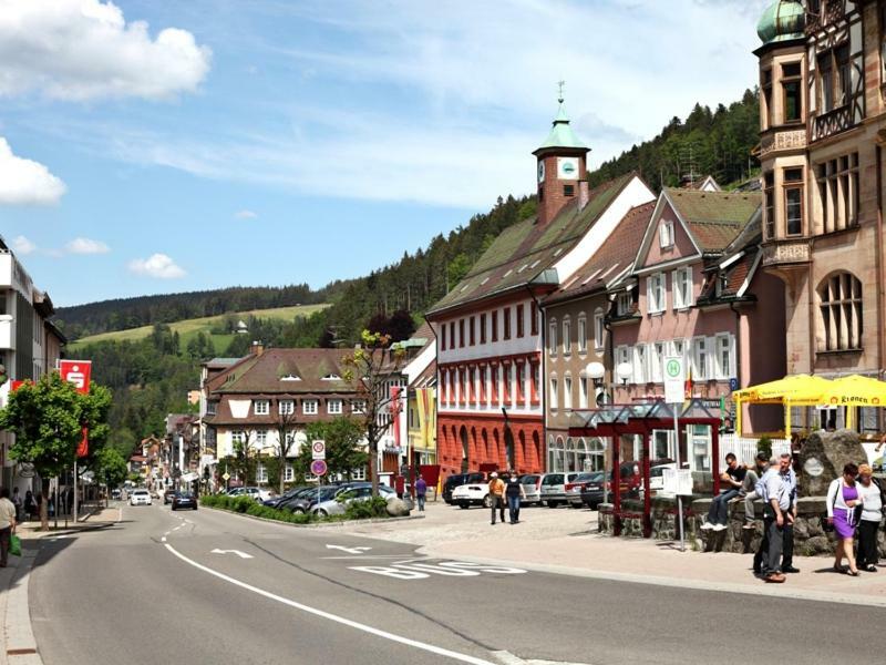 H-Apartment 1 Triberg im Schwarzwald Luaran gambar